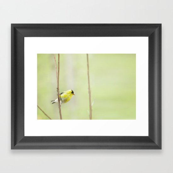 Little Mellow Yellow Framed Art Print