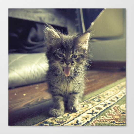 bleh! Canvas Print