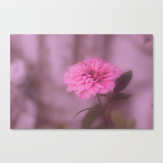 Flower Canvas Print