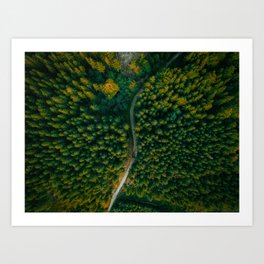 Aerial View of Scenic Pine Forest | Landscape Nature Photo Wallart Print from Czech Republic Art Print