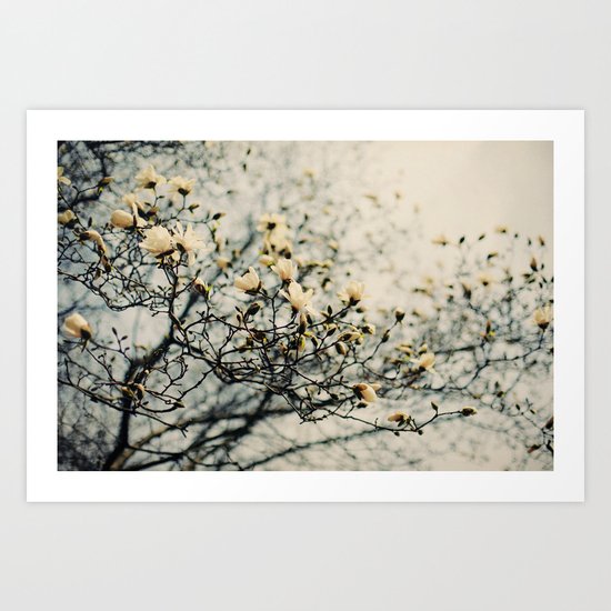 Honey Scented Breeze Art Print
