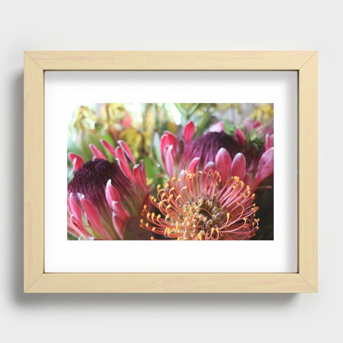 Protea Love Recessed Framed Print