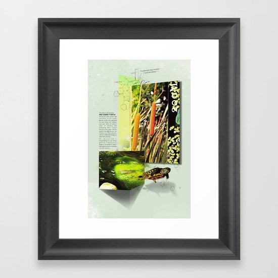 Red-Eared Turtle Framed Art Print