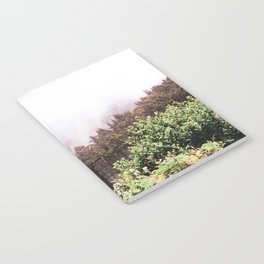 Coastal Fog and Forest | PNW Nature Photography Notebook