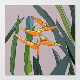 Bird of Paradise Flower - Nature's Lines Canvas Print