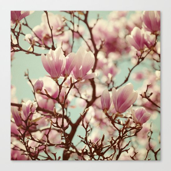 Secret Garden Canvas Print
