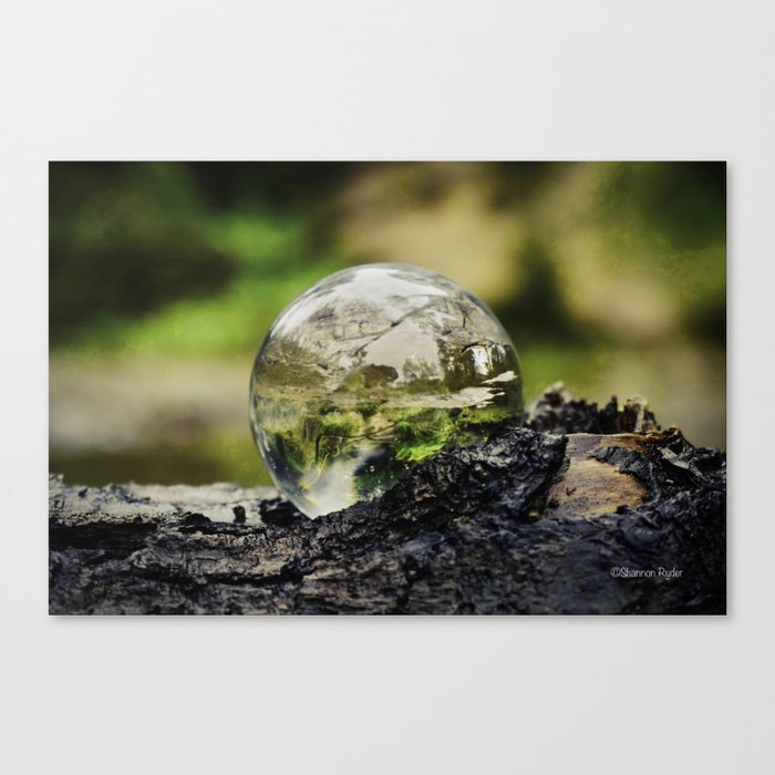 Through the looking glass Canvas Print