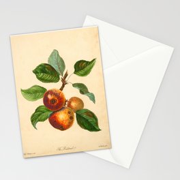 The Redstreak Apple (1811) Stationery Card