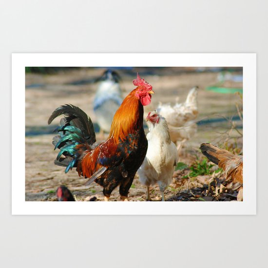 Cock a Doodle Doo! Art Print