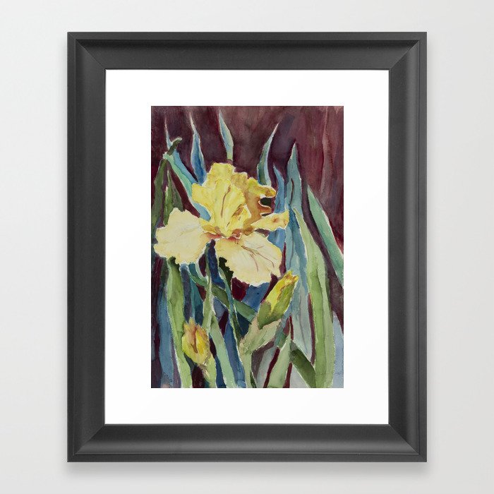 Yellow Iris Framed Art Print