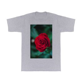 Romantic Red Rose T Shirt