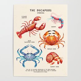 THE DECAPODS Poster