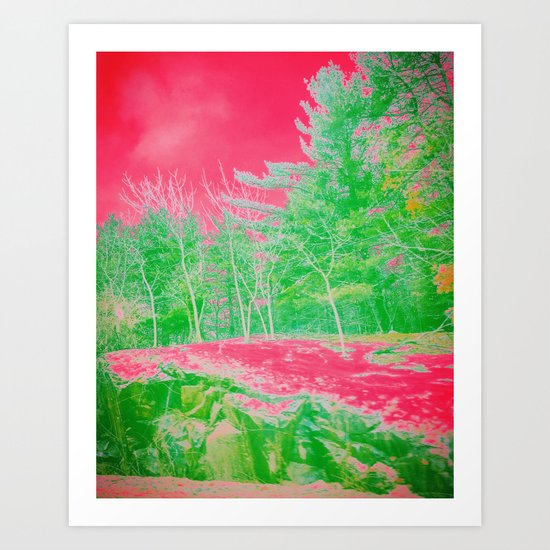 Winter Road Art Print