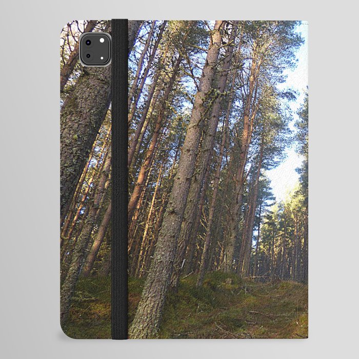 Inclined Scottish Pine Forest in Afterglow iPad Folio Case
