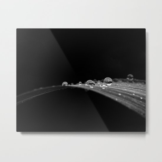 after the rains Metal Print