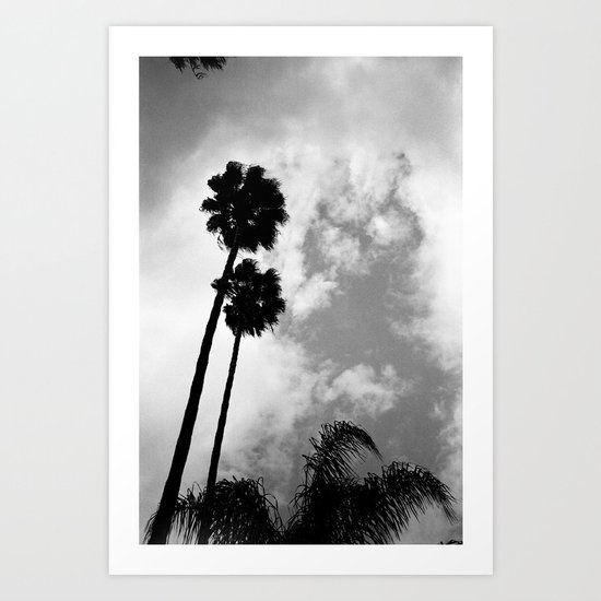 Twin Palms Art Print