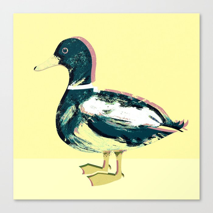 Mallard duck Canvas Print