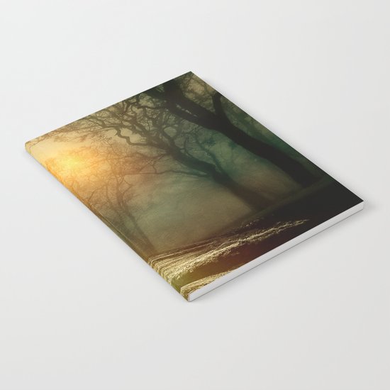 From small beginnings and big endings. by Viviana González Notebook