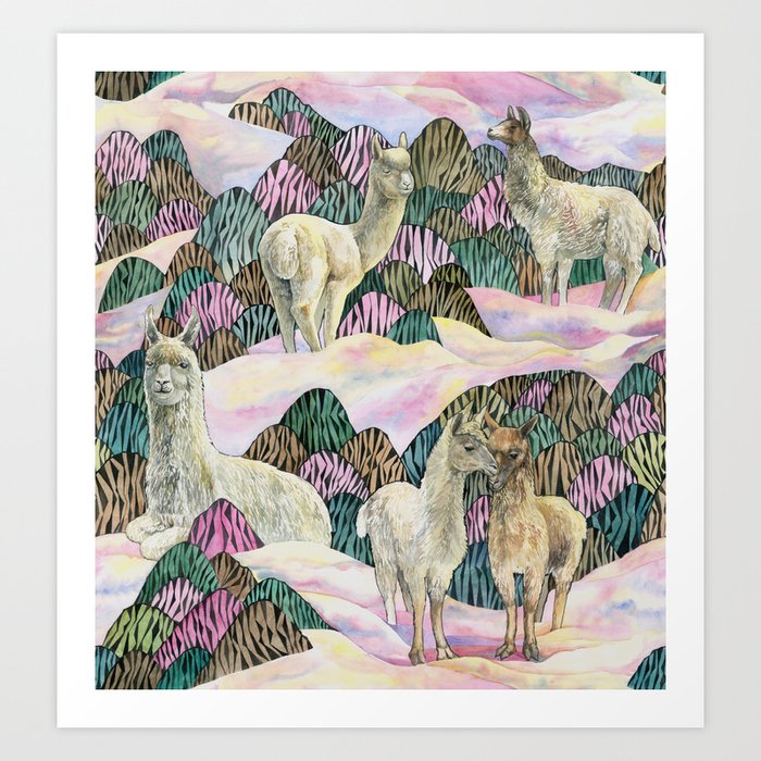 Lamas and Alpacas Art Print