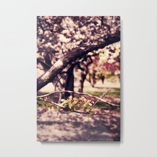 Hints of Red Metal Print