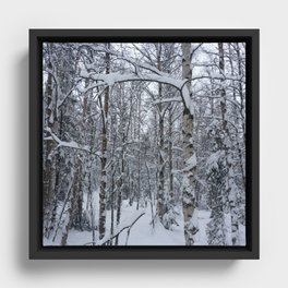 Winter Forest Framed Canvas