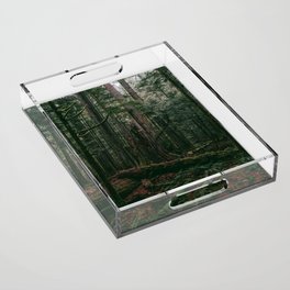Cathedral Grove Print II | Vancouver Island, BC | Landscape Photography Acrylic Tray