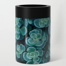 Succulents in Shades of the Sea Can Cooler