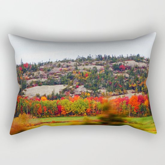Trees and the Rock Rectangular Pillow