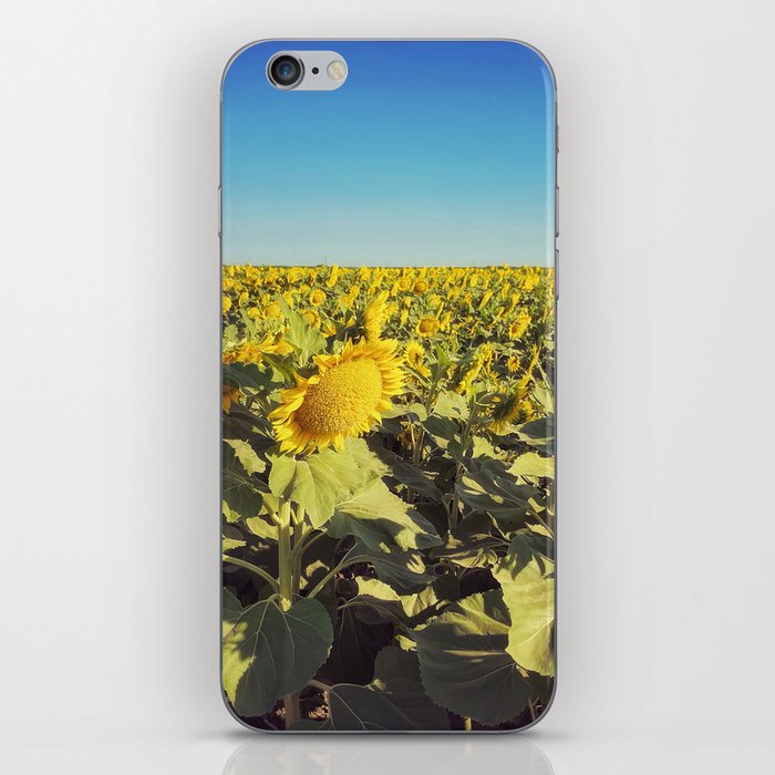 Sunflowers  iPhone Skin