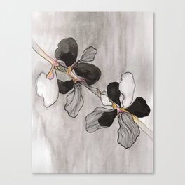 Orchid Duet Canvas Print