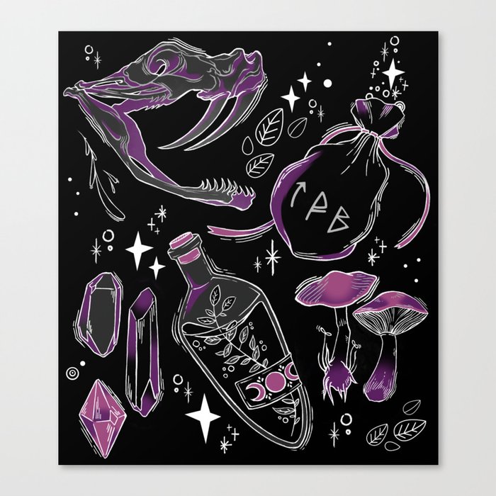 The essential for a young witch Canvas Print