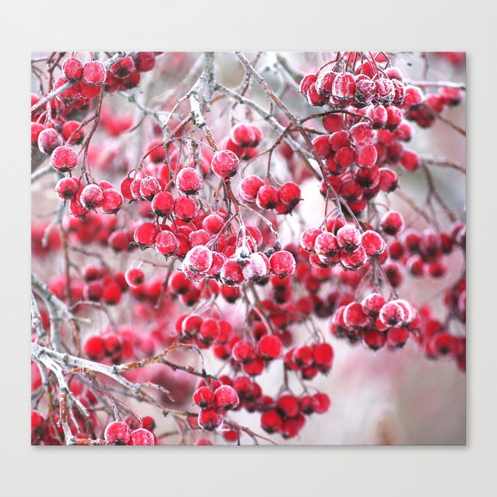 Icy Rowan Red Berries Winter Scene #decor #society6 #buyart Canvas Print