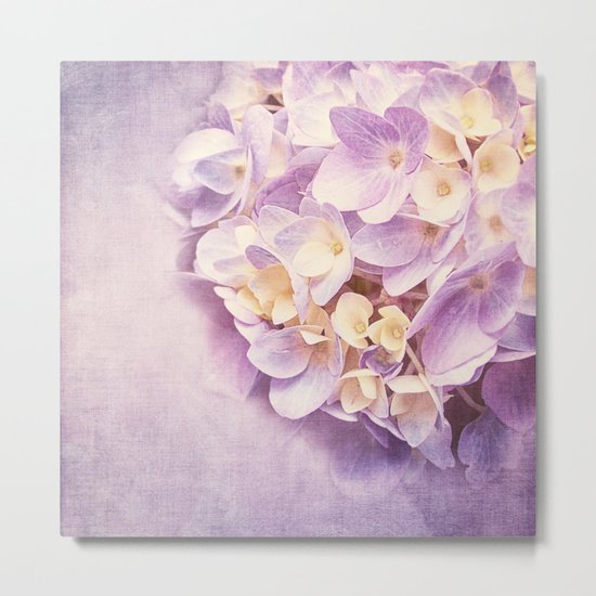 PURPLE DREAM OF HYDRANGEA Metal Print