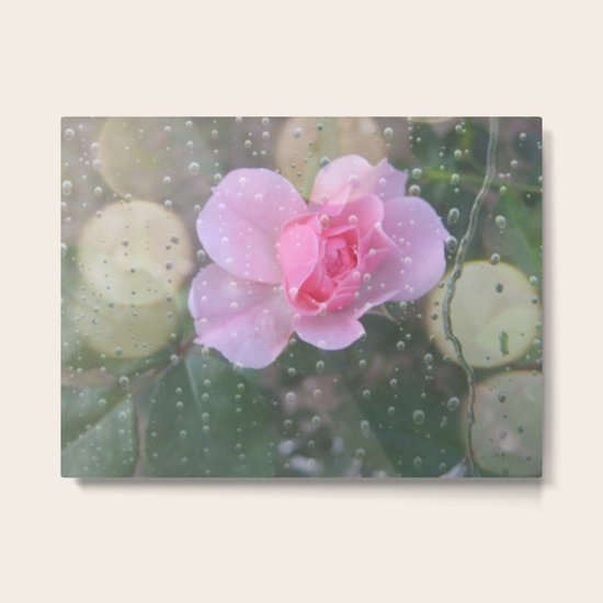 Precious One Metal Print