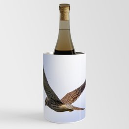 Hunting Kestrel | Falcon Bird of Prey | Bird Photography Wine Chiller