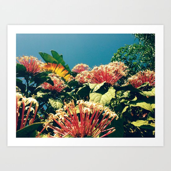 Badfish Art Print