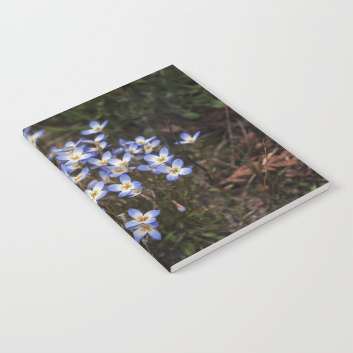 Wild Flowers Bluets Notebook