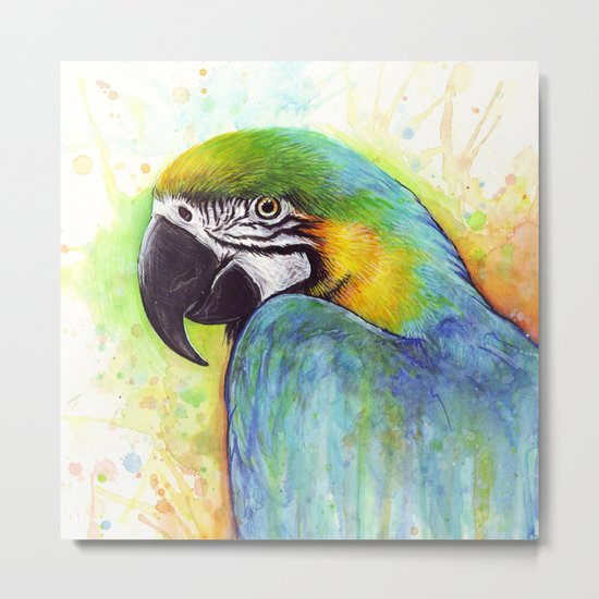 Macaw Bird Parrot Colorful Tropical Animal Metal Print