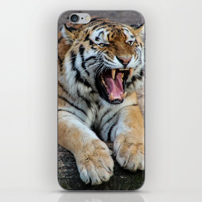 Portrait of a tiger in the nature iPhone Skin