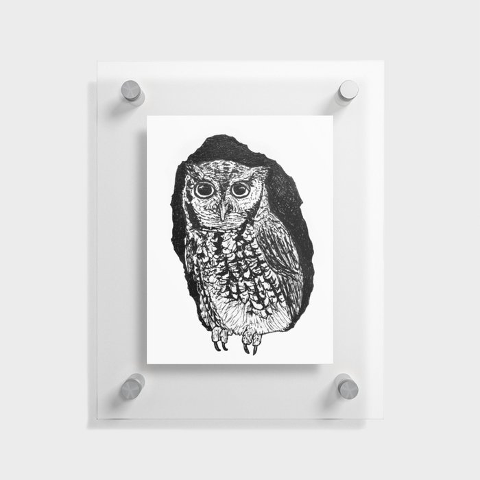 Screech Owl BW Floating Acrylic Print