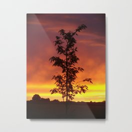 Abendrot  Metal Print | Nature, Landscape, Photo 