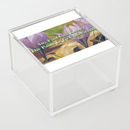 Anyone Can Know, The Point Is To Understand Acrylic Box