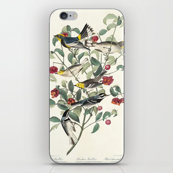 Birds of America (1827) by John James Audubon iPhone Skin