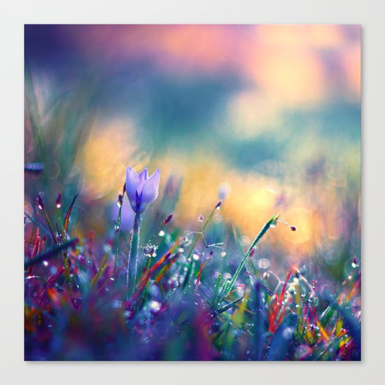 Begin of a Story Canvas Print