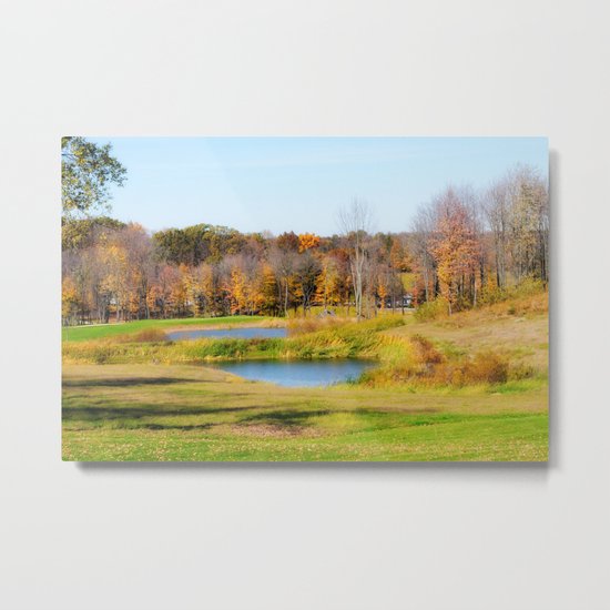 Fall at the Ponds Metal Print