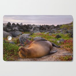 Sleeping Galápagos sea lion Cutting Board
