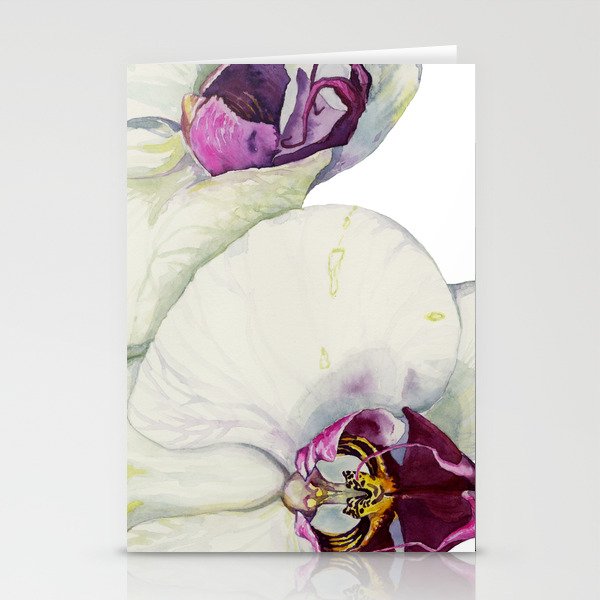 Cream & Fuchsia Phalaenopsis Orchids Stationery Cards