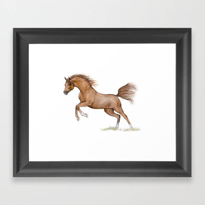 Chestnut arabian horse Framed Art Print