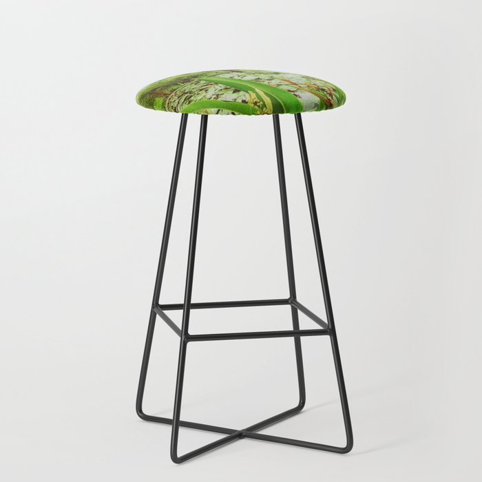 Bar Stool