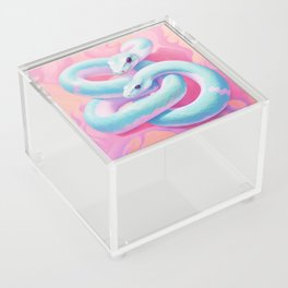 Snakes, pastel, dreamy, pink, teal  Acrylic Box